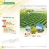Lịch Treo Tường 2027 HT Mẫu HT39 (40 x 60cm) Quà Tết Công Đoàn Đầy Đủ Hóa Đơn VAT in logo doanh nghiệp quà tặng Tết tại Quà Tặng Công Đoàn