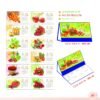 Lịch Để Bàn 2027 MT Mẫu MT61 (24 x 17cm) Quà Tết Công Đoàn Đầy Đủ Hóa Đơn VAT in logo doanh nghiệp quà tặng Tết tại Quà Tặng Công Đoàn